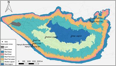 The Dynamics of Coral-Algal Interactions in Space and Time on the Southern Great Barrier Reef